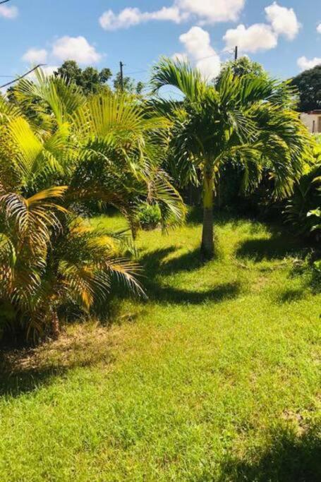 Villa Sous Le Manguier-Anse Bertrand 5Min Plage Exterior photo